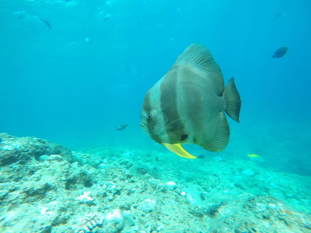 Tropical Surf House Okinawa Ξενοδοχείο Onna Εξωτερικό φωτογραφία
