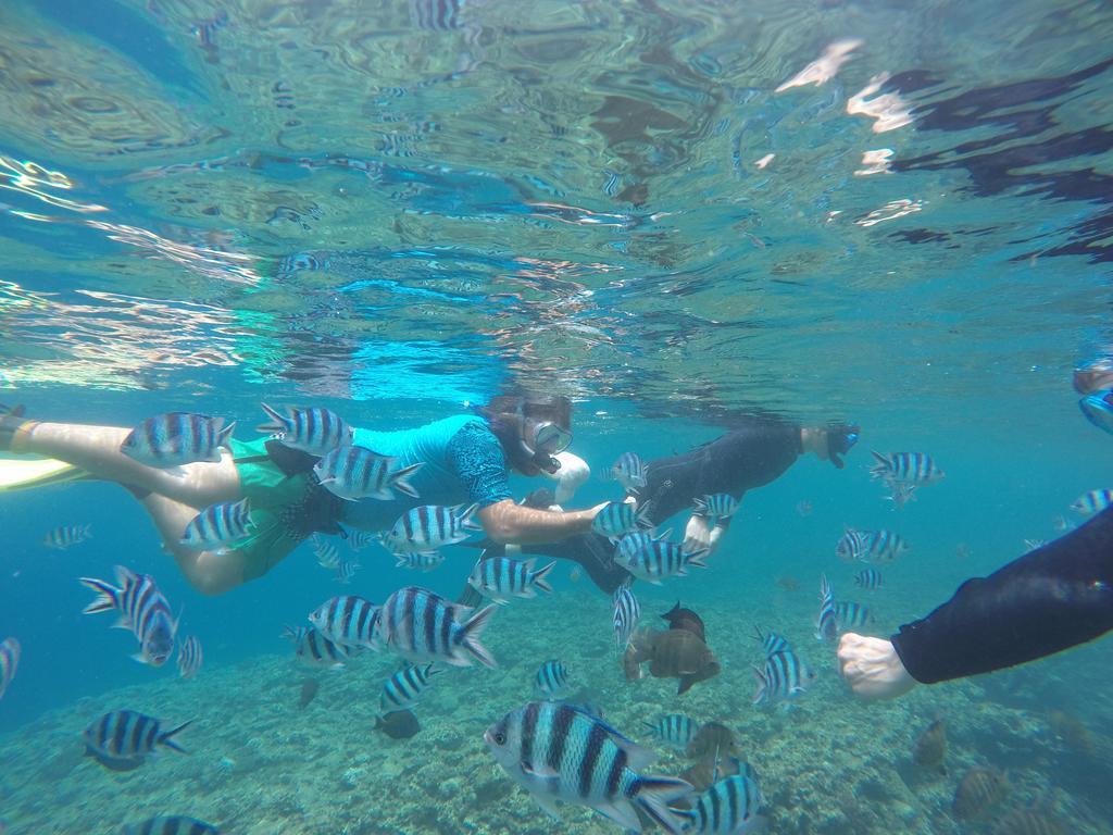 Tropical Surf House Okinawa Ξενοδοχείο Onna Εξωτερικό φωτογραφία